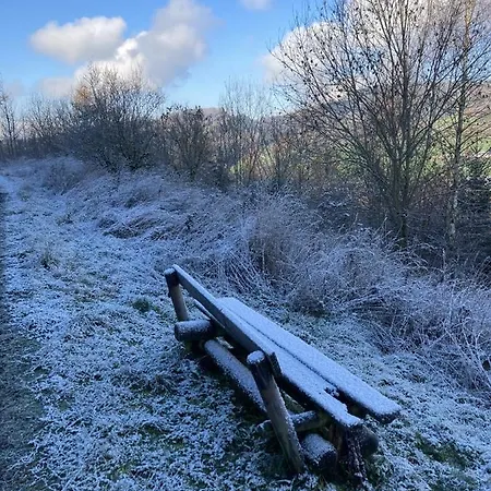 Weisser Stein 2* שמאלנברג