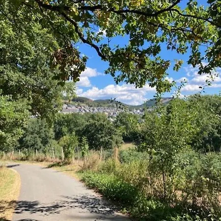 מלון Weisser Stein